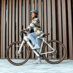 Cecotec Elektro-Stadtfahrrad City Sprint, 250W, 28-Zoll-Räder, 70 km Reichweite, 360 Wh Batterie, Shimano Altus 8-Gang-Schaltung und Doppel-Hydraulikbremsscheiben