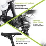 DERUIZ Quartz E-Bike Damen 28 Zoll Tiefeinsteiger, 8-Gang, 48V 13.4Ah Akku, bis zu 161 km, 55Nm Drehmoment, Hydraulische Scheibenbremsen, App, City & Trekking Elektrofahrrad für Damen & Herren