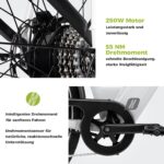 DERUIZ Quartz E-Bike Damen 28 Zoll Tiefeinsteiger, 8-Gang, 48V 13.4Ah Akku, bis zu 161 km, 55Nm Drehmoment, Hydraulische Scheibenbremsen, App, City & Trekking Elektrofahrrad für Damen & Herren